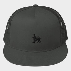 Mesh Back Logo Snapback Hat