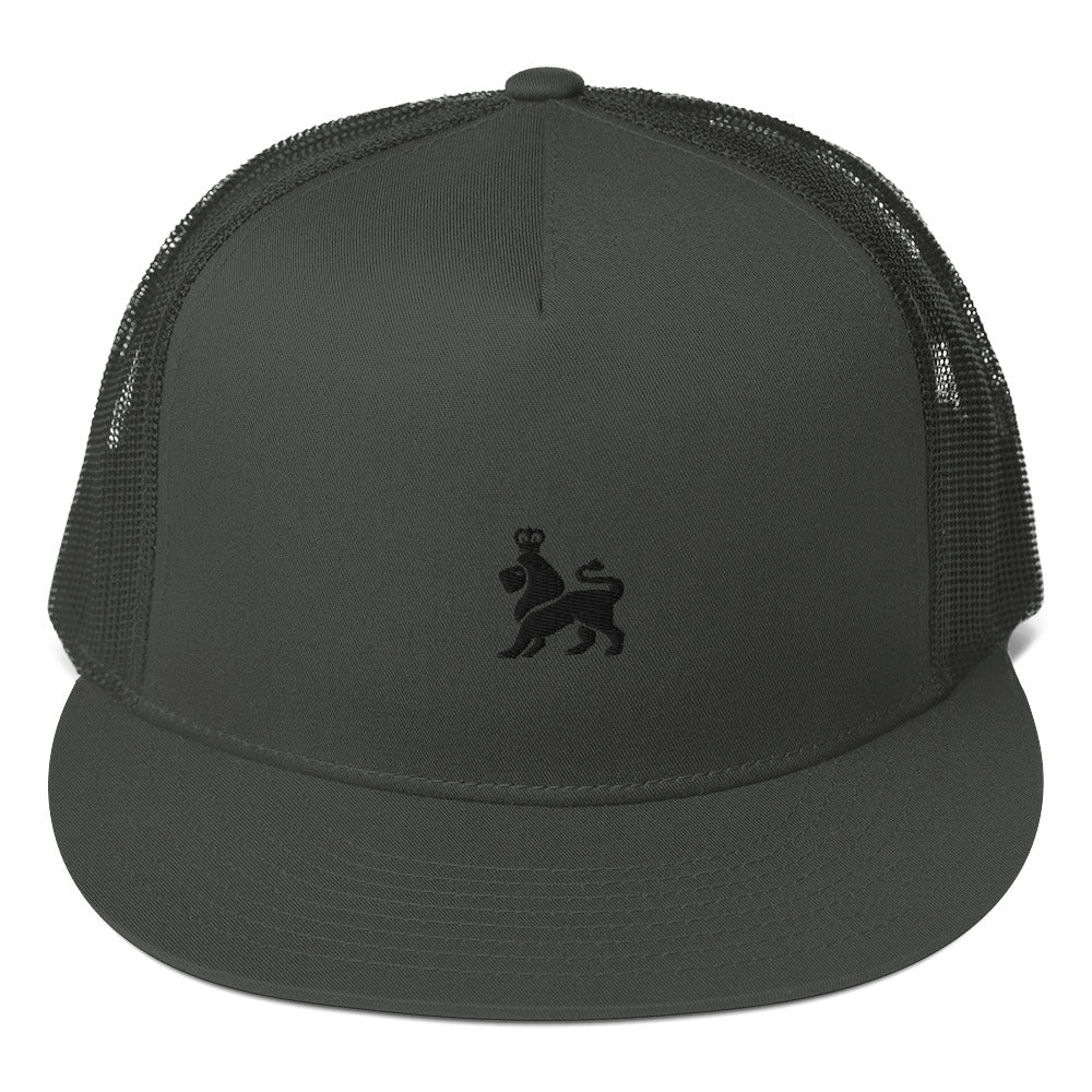 Mesh Back Logo Snapback Hat